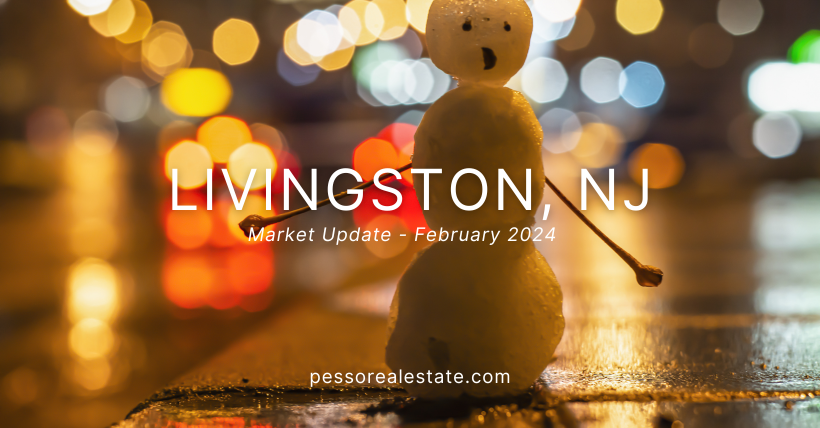 Feb 2024 Market Report Livington NJ